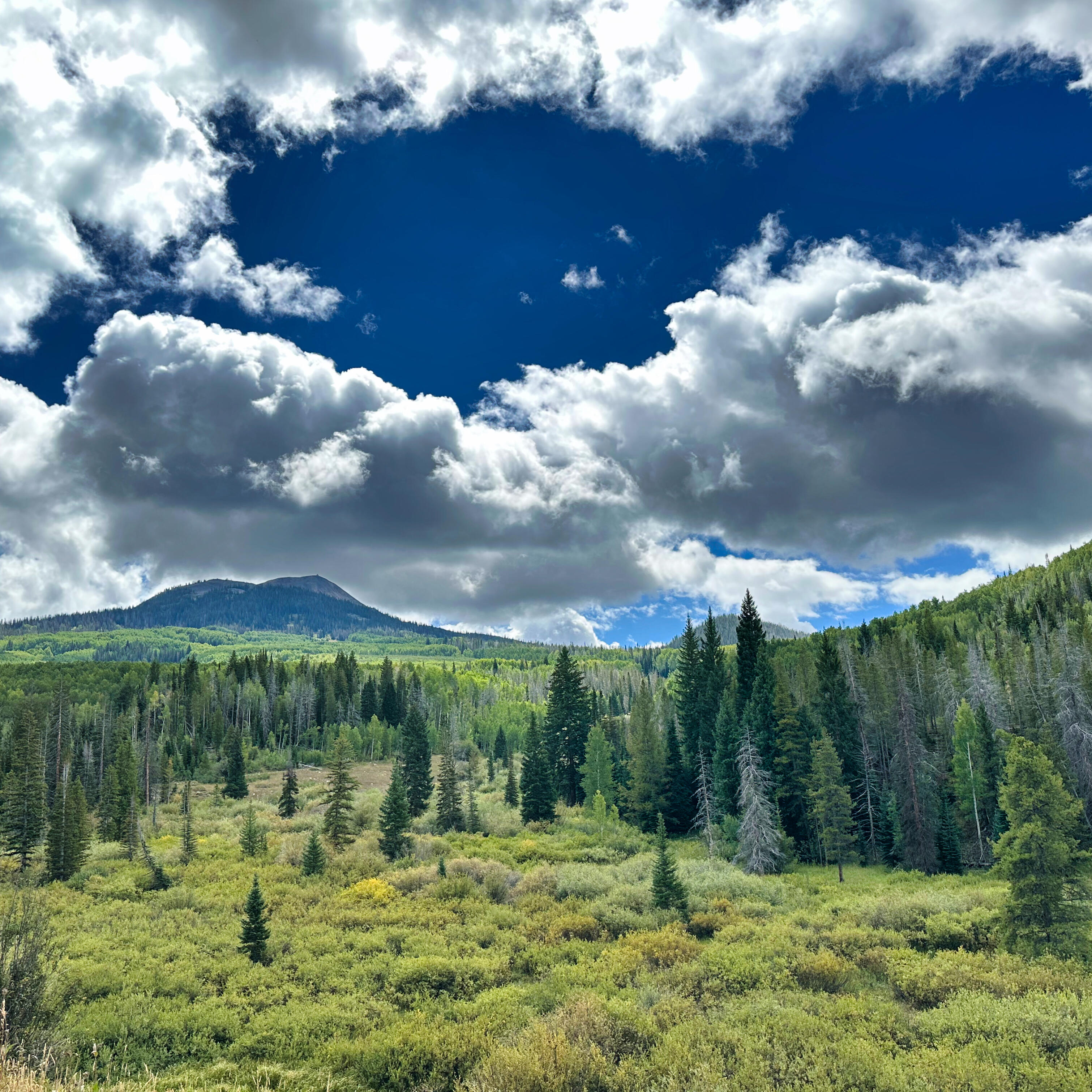 LANDSCAPES